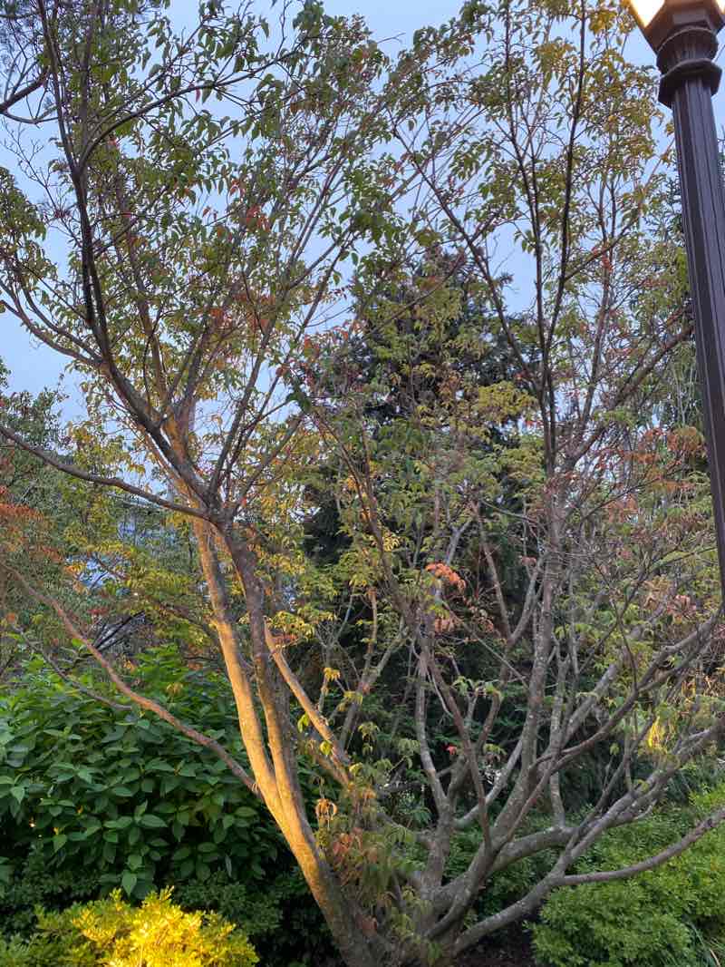 walking near me in Sylvester Baxter Riverfront Park in winter