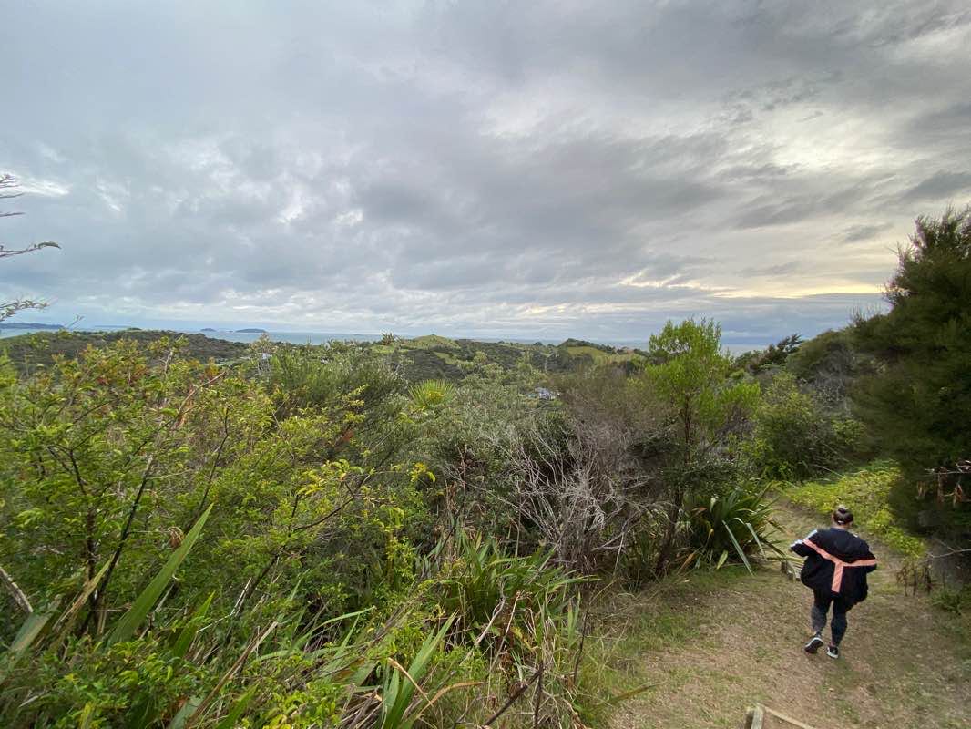 walking near me in Owhanake Reserve in summer