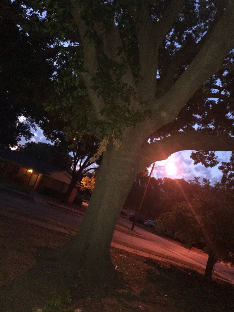 walking near me in Jaycee Park in winter