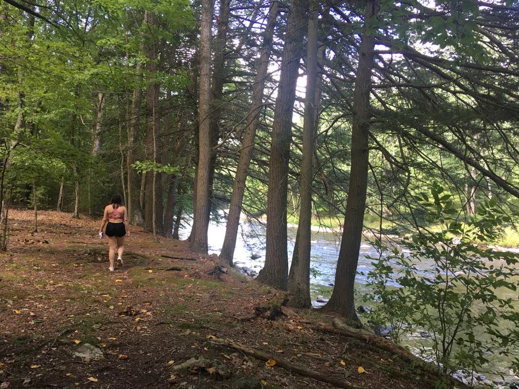 walking near me in Penns Creek Wild Area in winter