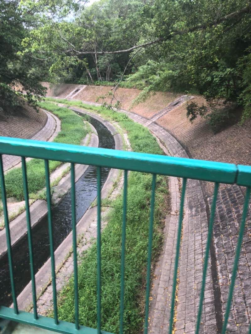 walking near me in Mui Shue Hang Park in winter
