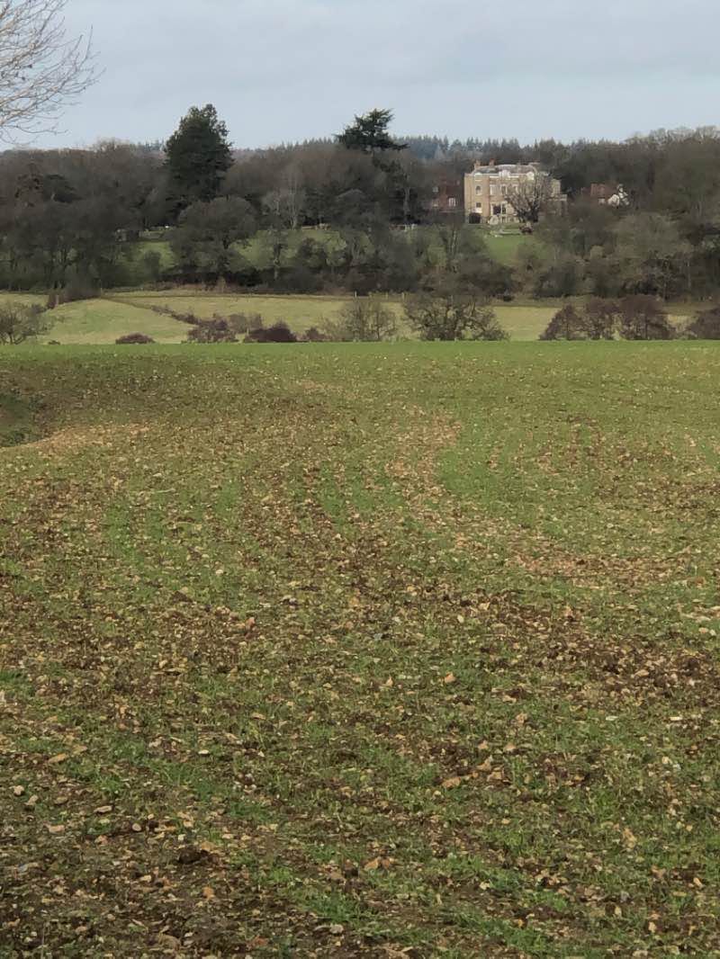 walking near me in Moneyhole Lane Playing Fields in winter