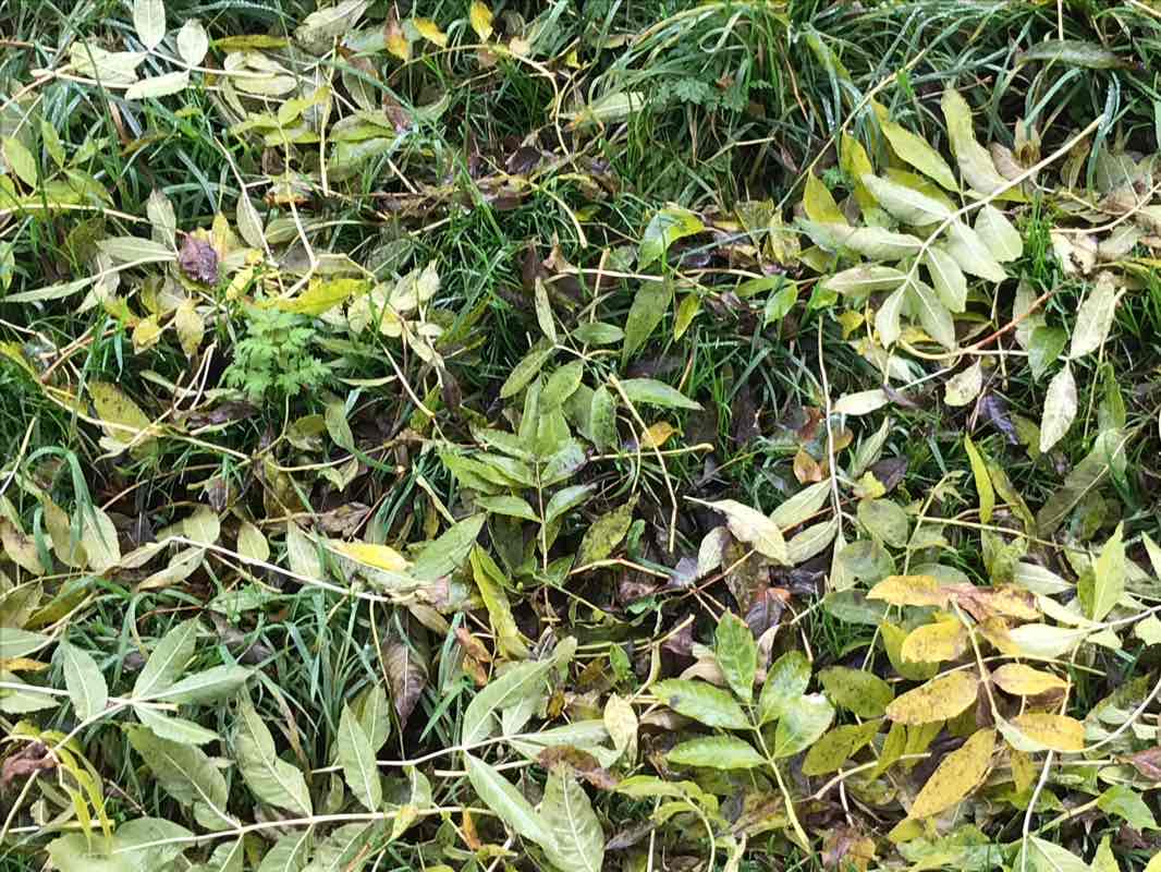 walking near me in Avebury Stone Circle in winter