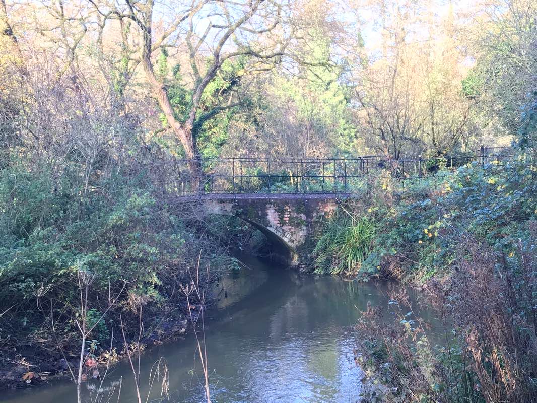 walking near me in Castlefields Park in winter