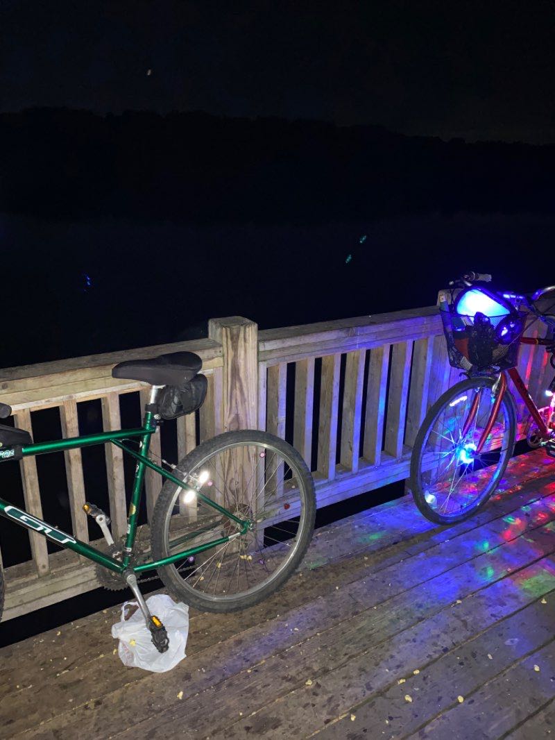 walking near me in Vietnam Veterans Memorial Park in winter