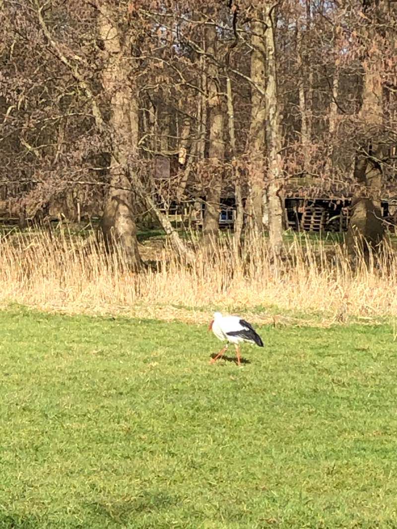 walking near me in Sperwershof in winter