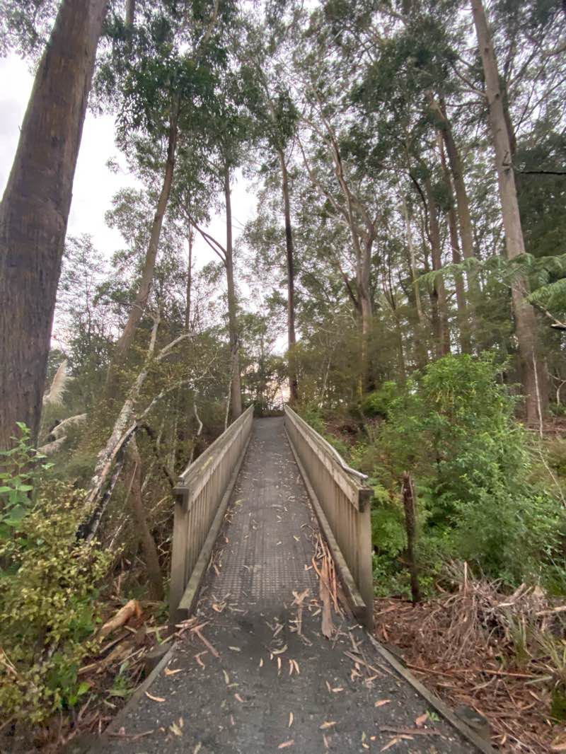 walking near me in Jelas/Moffat Esplanade Reserve in summer