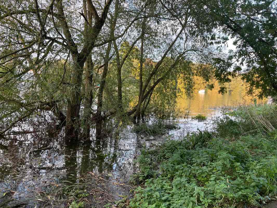walking near me in Radnor Gardens in winter