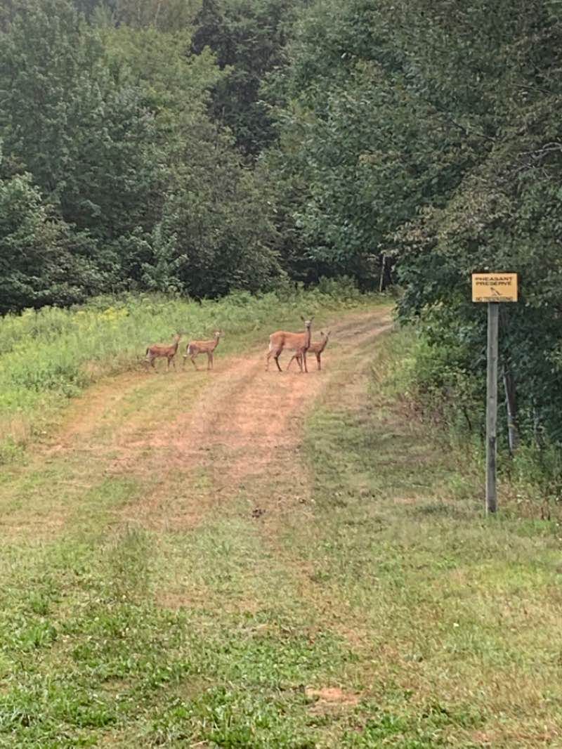 walking near me in The Green in winter