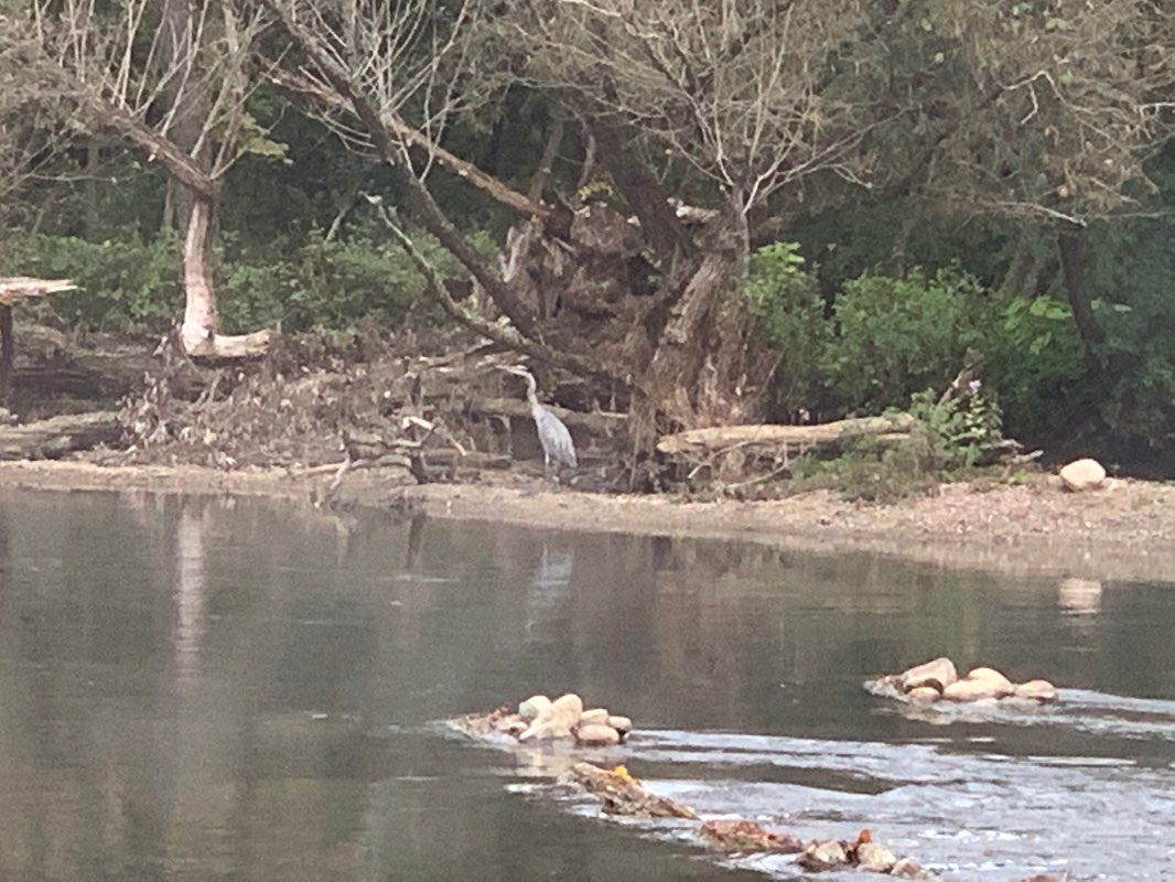 walking near me in Ingalls Mall in winter