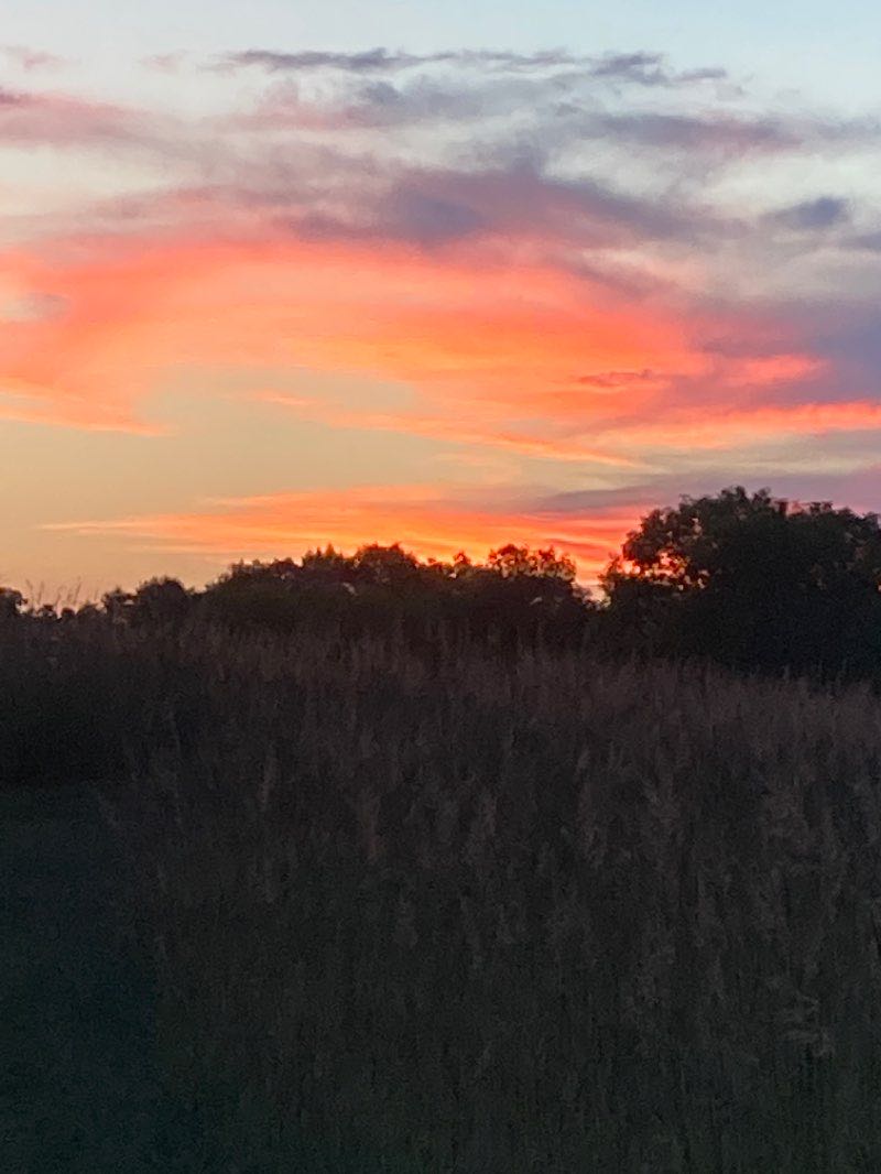 walking near me in Afton State Park in winter