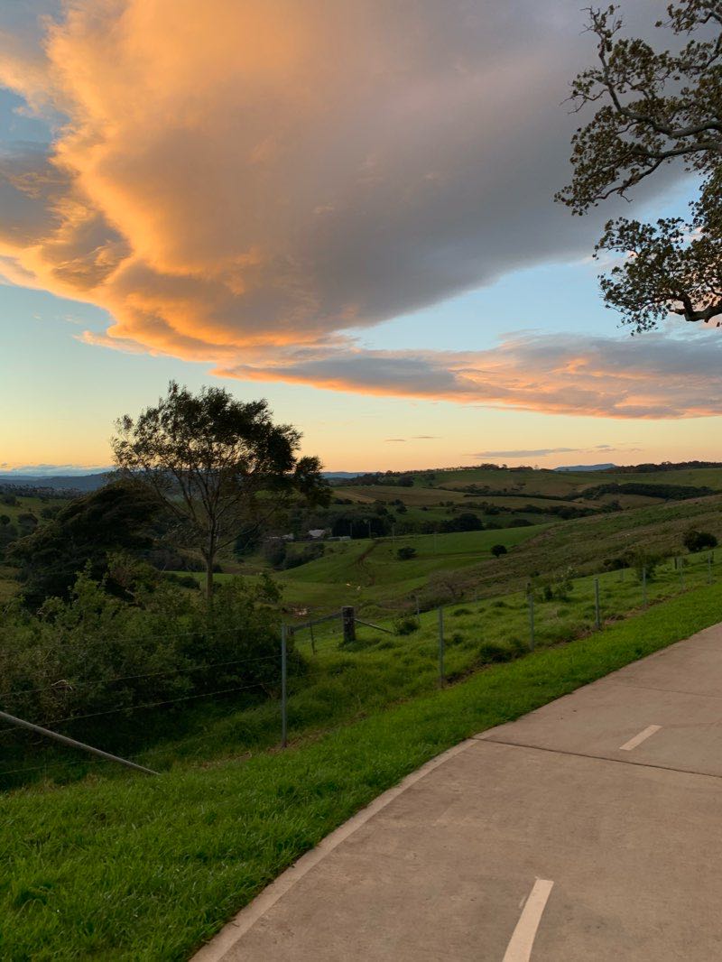 walking near me in Stead Reserve in summer