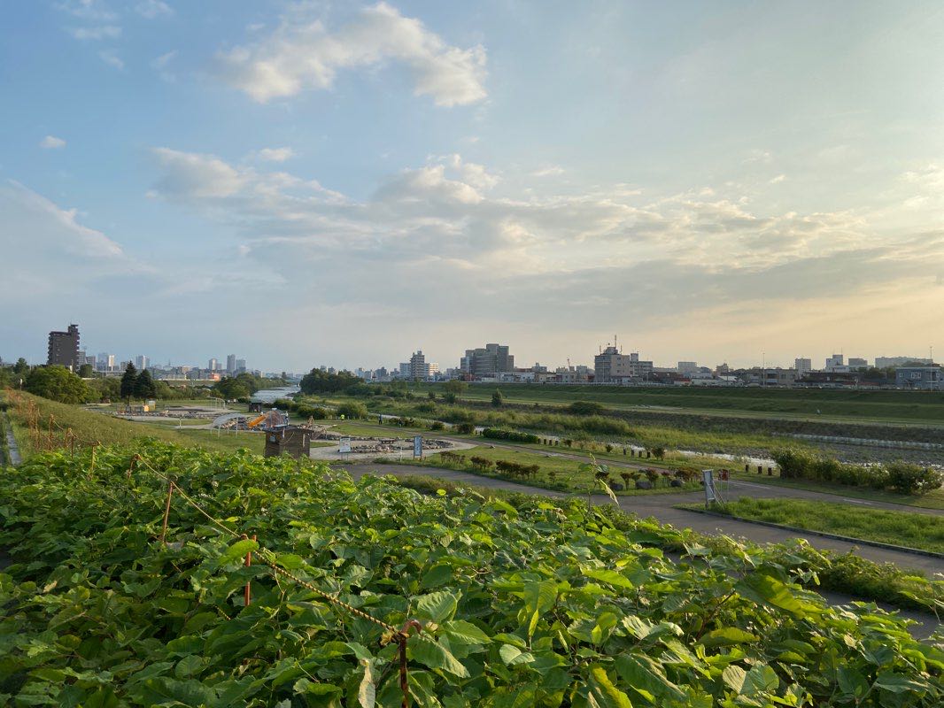 walking near me in 豊平川緑地 in winter
