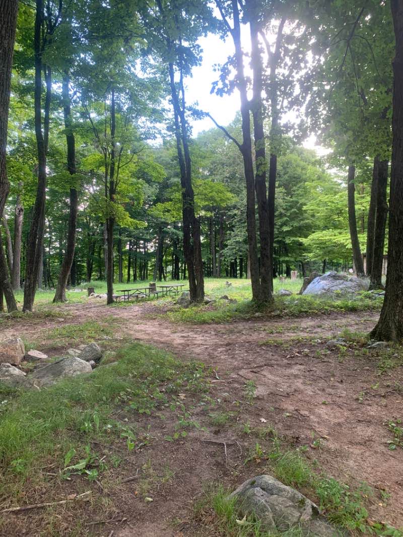 walking near me in Rib Mountain State Park in winter