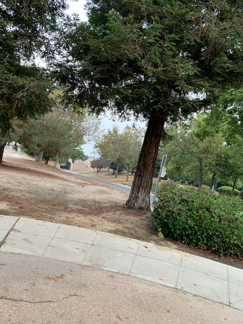 walking near me in Railroad Park in winter