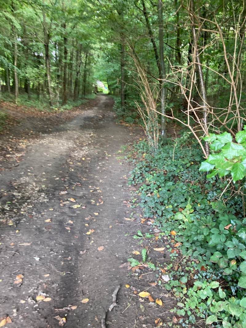 walking near me in Higginson Park in winter