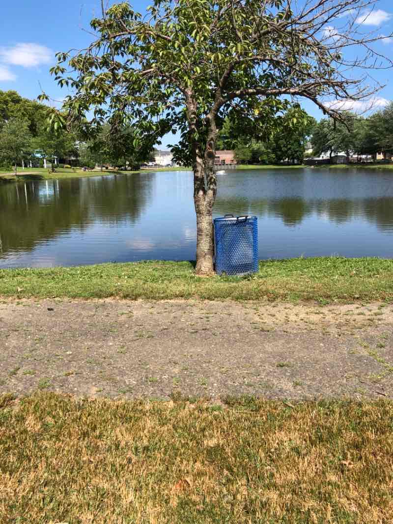 walking near me in Daley's Pond Recreation Area in winter