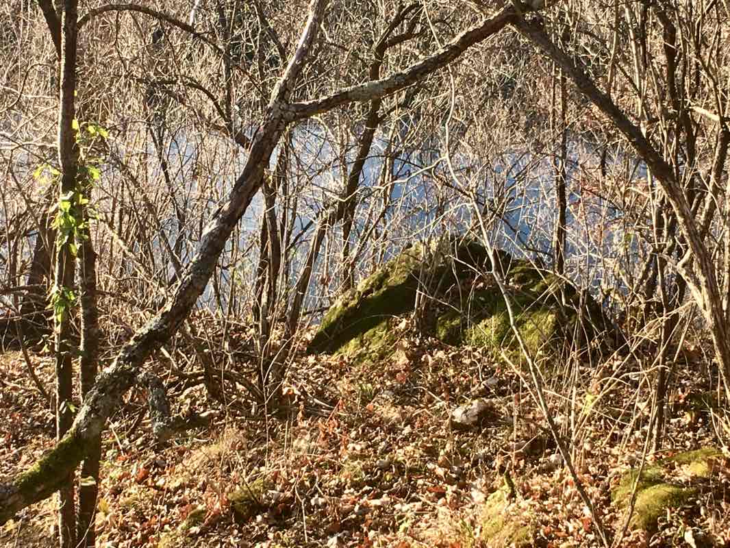 walking near me in Sidie Hollow County Park in winter