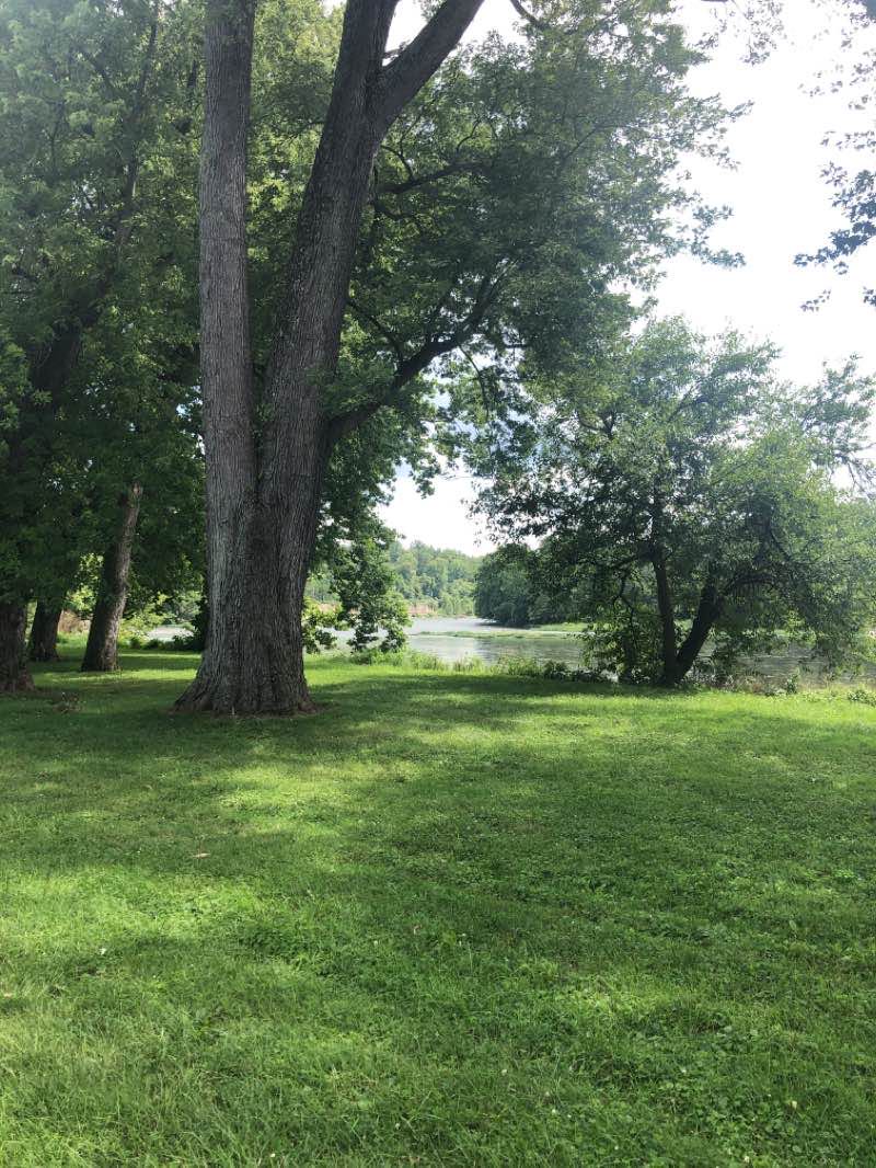 walking near me in Crains Run Nature Park in winter
