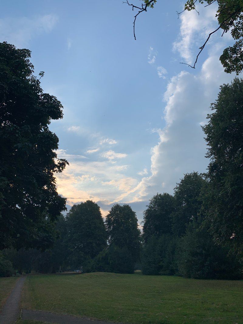 walking near me in Leon Park in winter