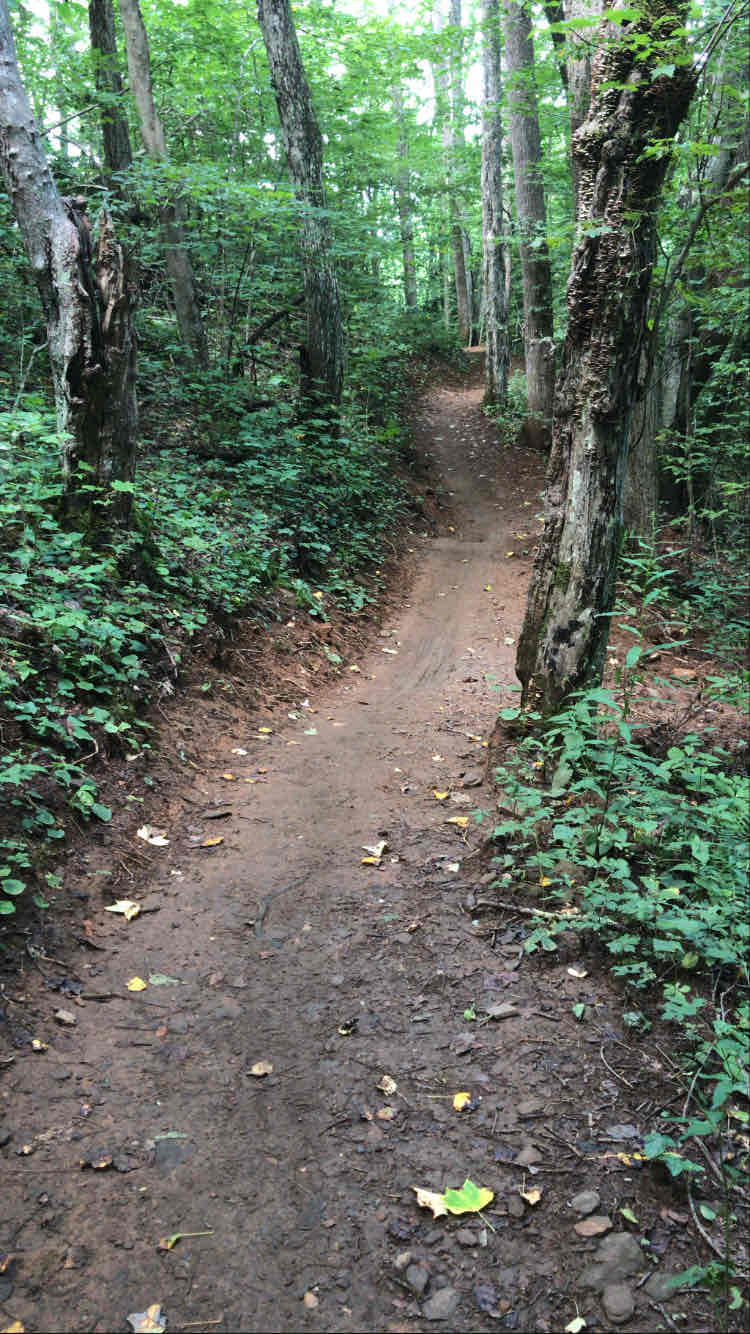 walking near me in Rocky Knob Mtn Bike Park in winter