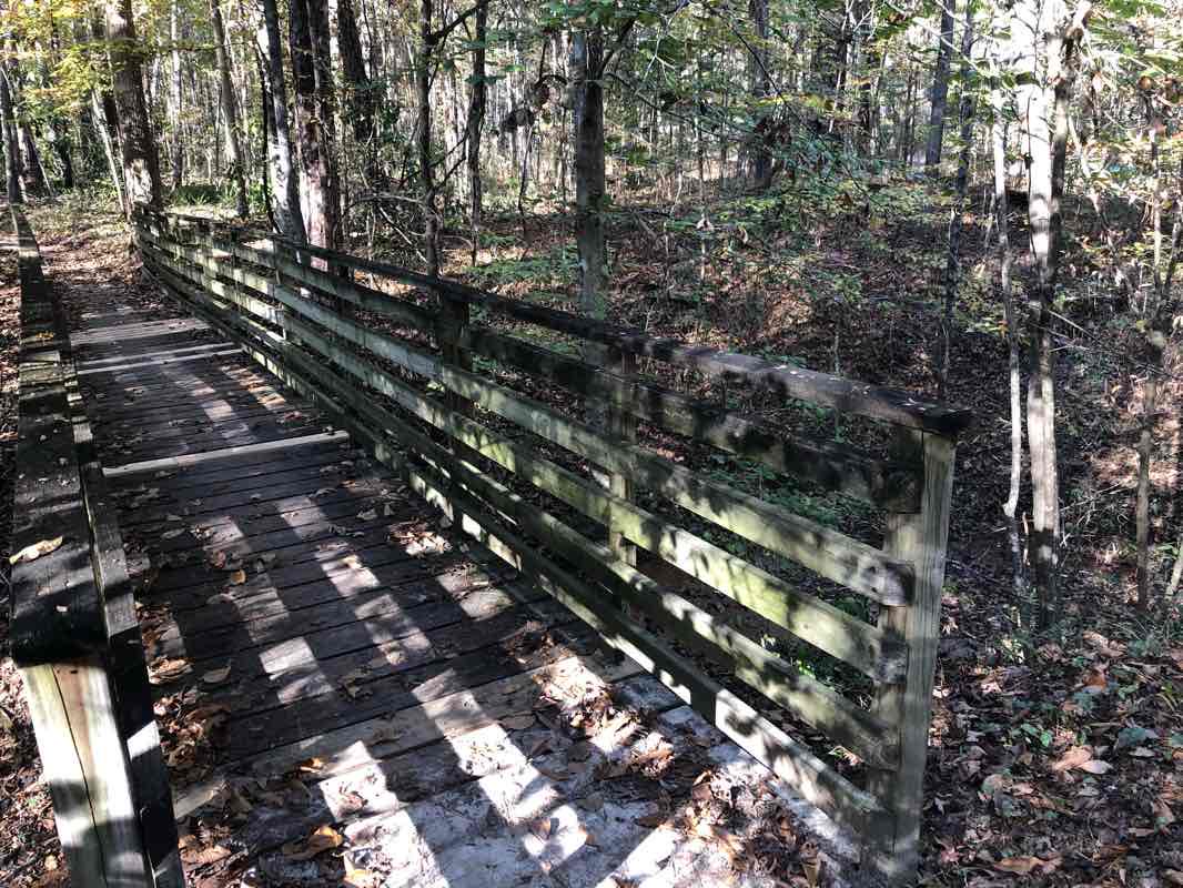 walking near me in Givhans Ferry State Park in winter