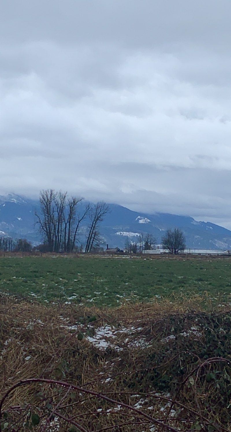 walking near me in DeLair Park in winter