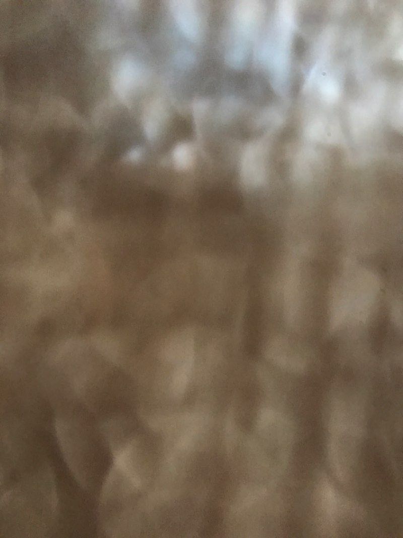 walking near me in Municipal Park in winter