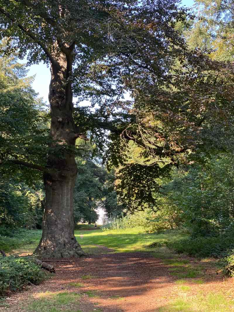 walking near me in Domein Tudor in winter