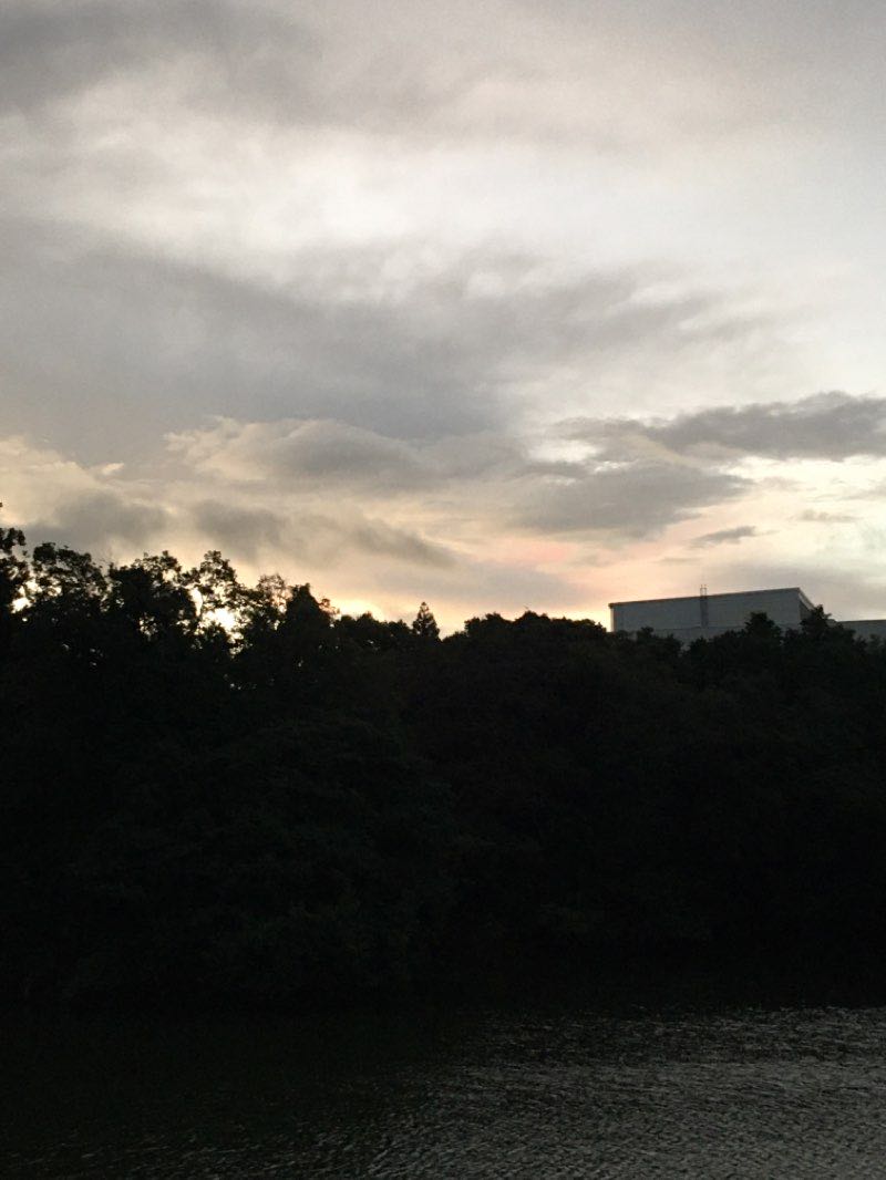 walking near me in 安養寺公園 in winter