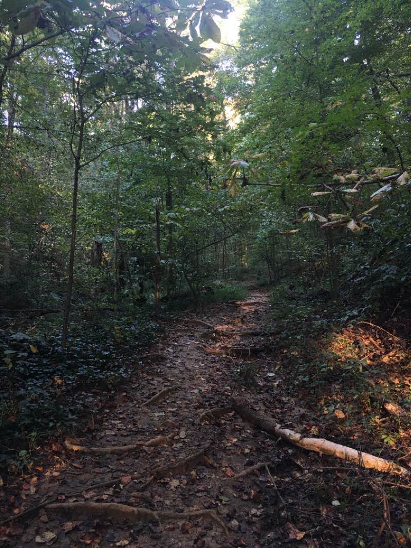 walking near me in Henderson Park in winter