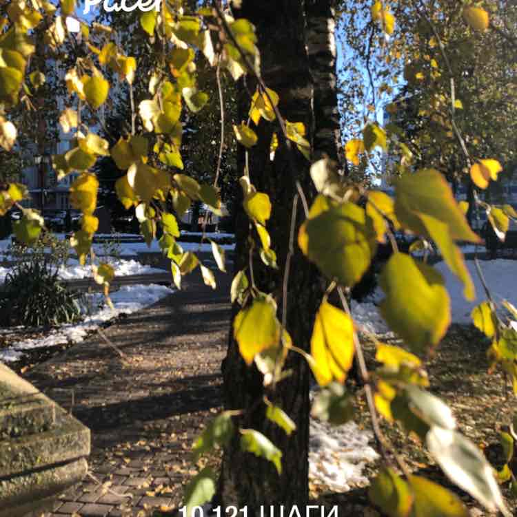 Ирина 🦔 🐾 post 1