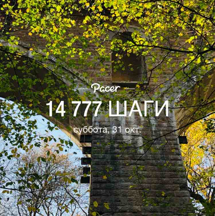 Ирина 🦔 🐾 post 1