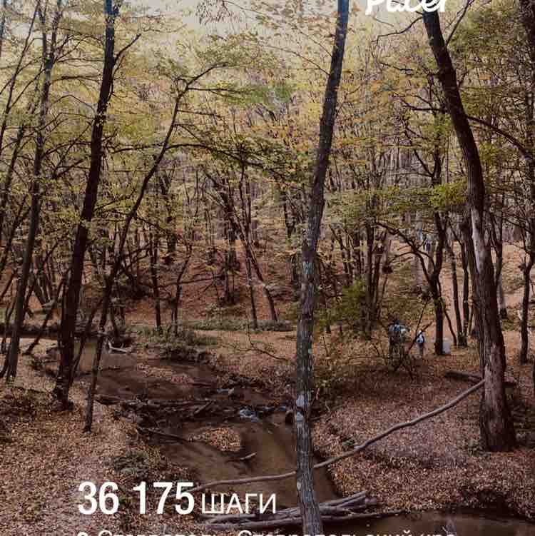 Ирина 🦔 🐾 post 1