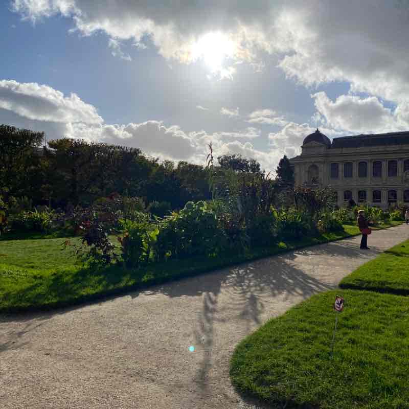 Elisa 🇫🇷🙋‍♀️🐉🌺 post 2