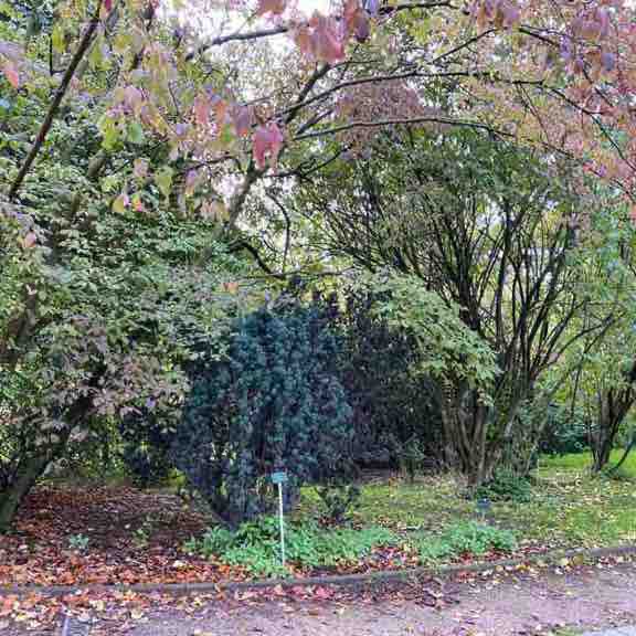 Elisa 🇫🇷🙋‍♀️🐉🌺 post 2