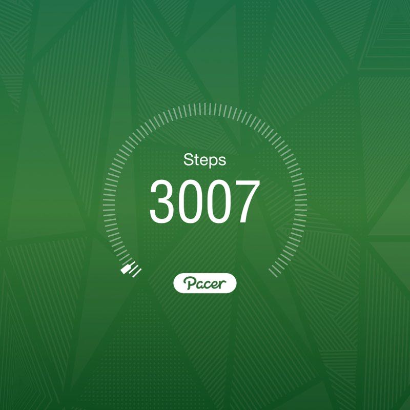 PacerGal_1989 post 1