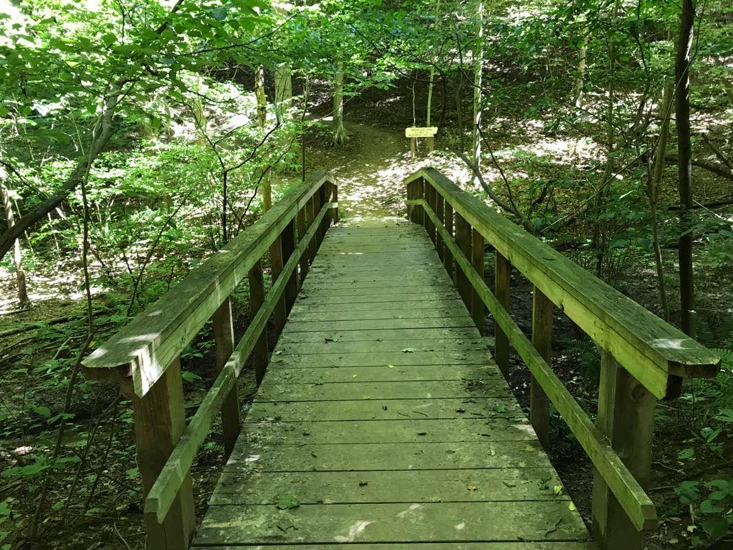walking near me in John James Audubon State Park in winter