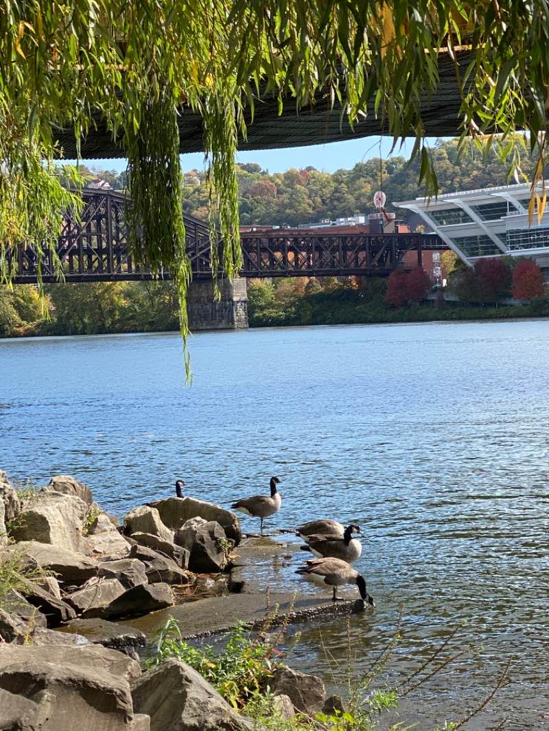 walking near me in Point State Park in winter