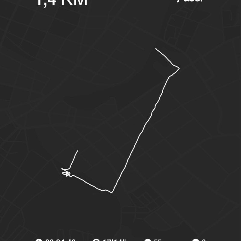 Елена Евстегнеева, Тула post 1