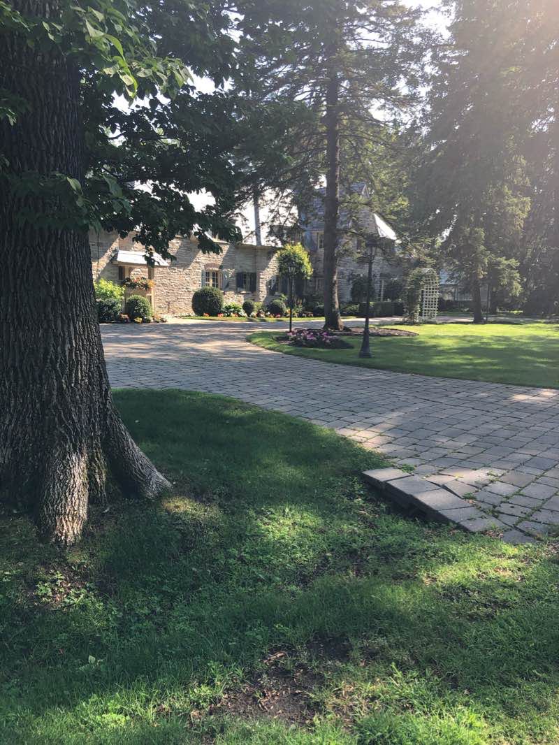 walking near me in Parc-école Saint-Rémi in winter