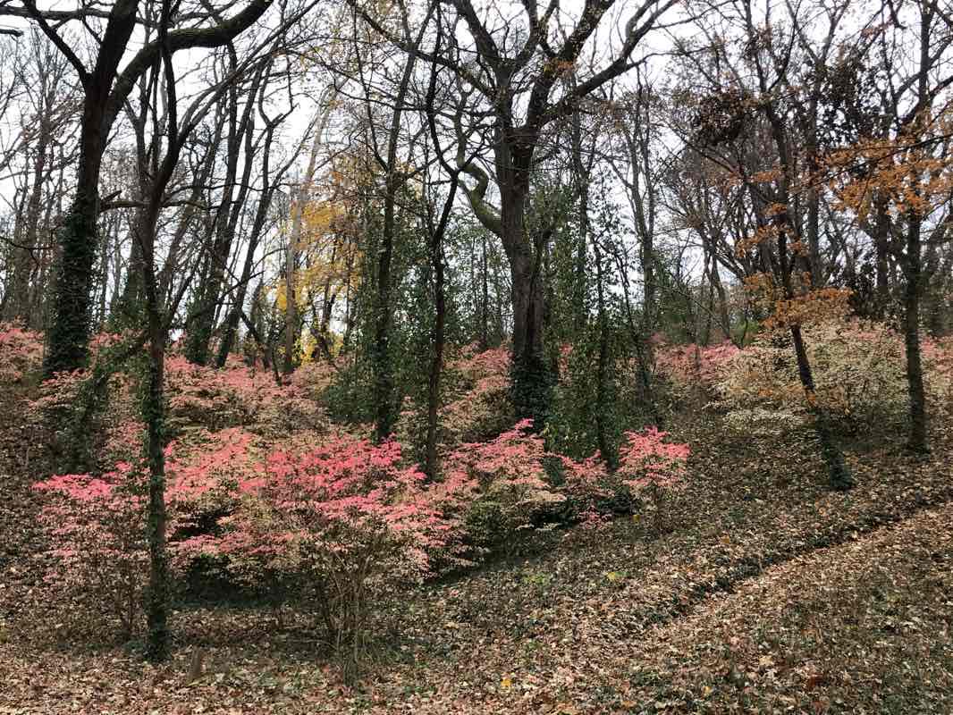walking near me in Corby Grove in winter