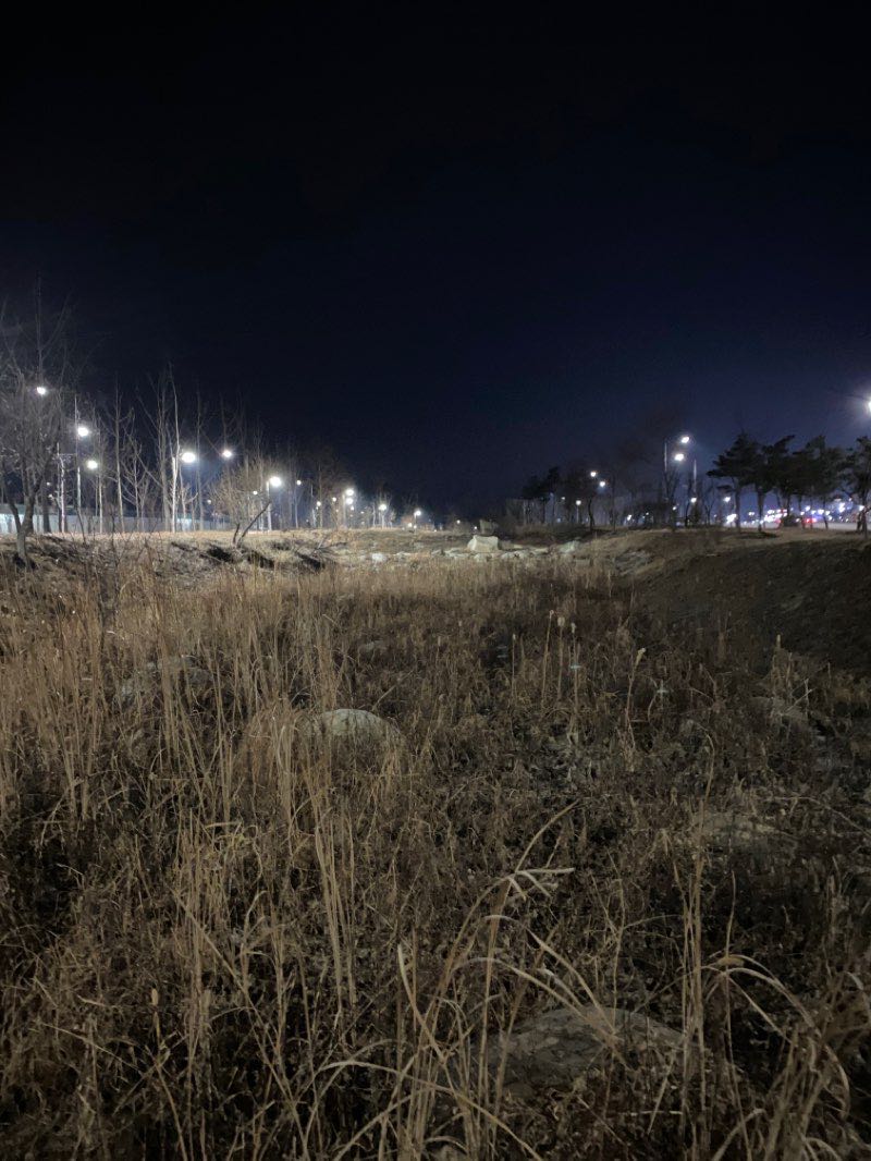 walking near me in 근린공원 in winter
