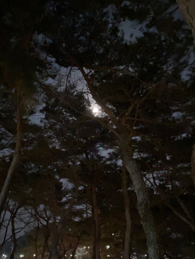 walking near me in 근린공원 in winter