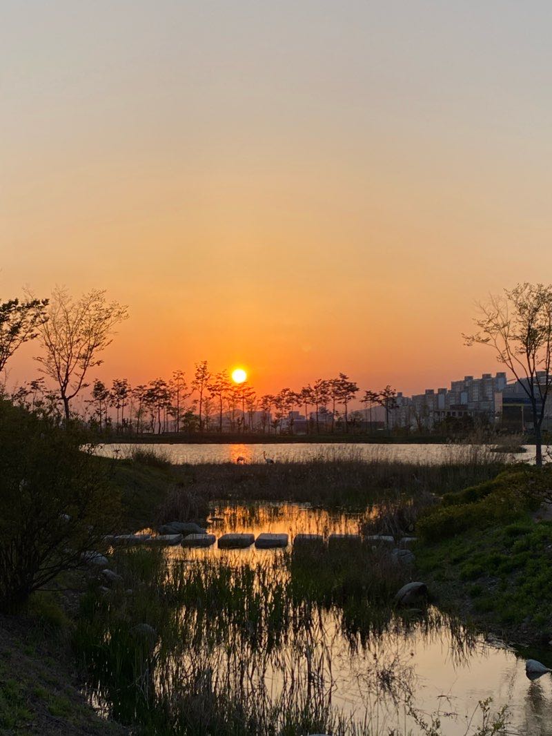 walking near me in 송평천 근린공원 in winter