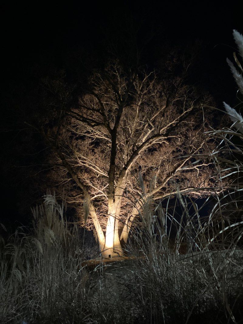walking near me in 천년숲 공원(호국 상징 공원) in winter
