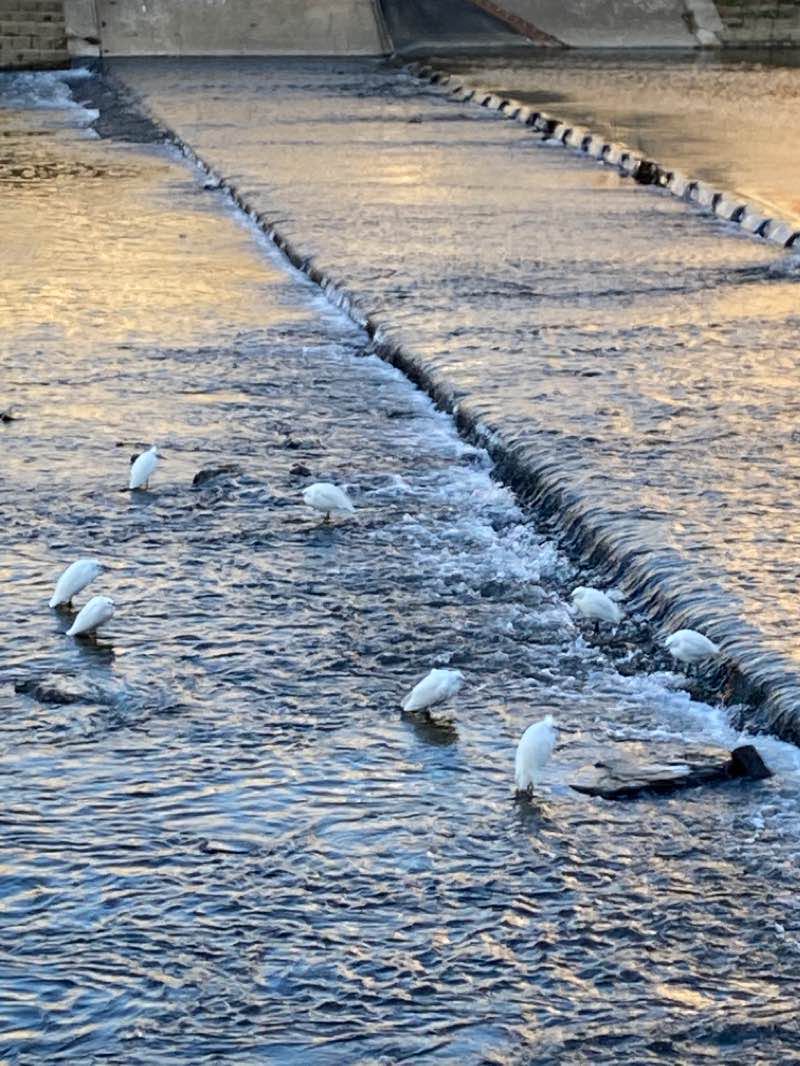 walking near me in 신천대로 공원 in winter