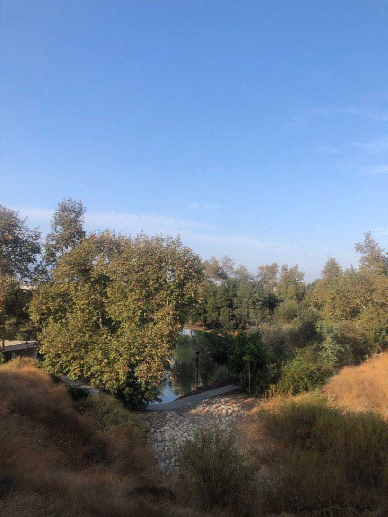 walking near me in Mary Vagle Nature Center in winter
