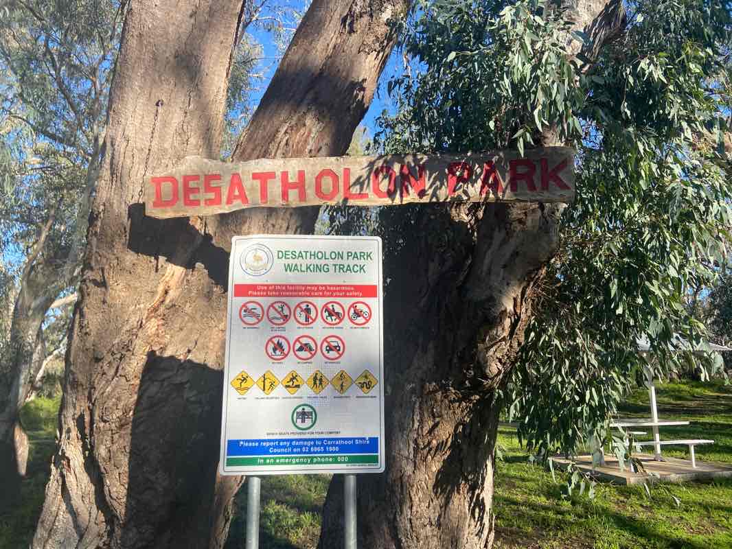 walking near me in Desathlon Park in summer