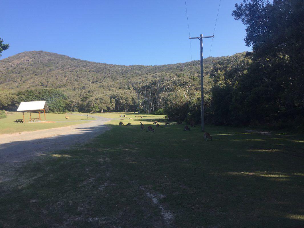 walking near me in Arakoon National Park in summer